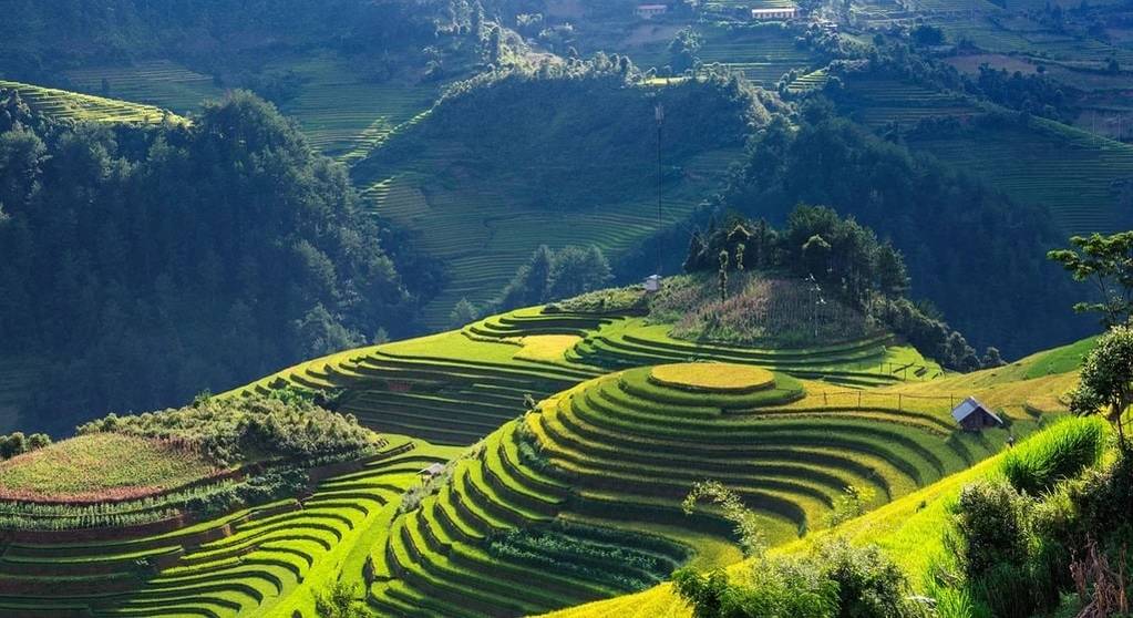 Les lieux incontournables à voir lors d'un voyage au Vietnam