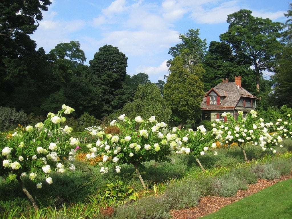 Comprendre les étapes d'un jardin zen réussi